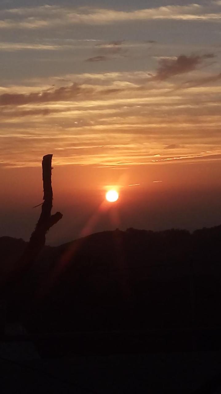 Casa Morella Monteverde ภายนอก รูปภาพ